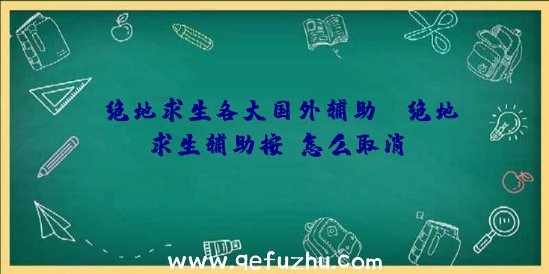 「绝地求生各大国外辅助」|绝地求生辅助按键怎么取消